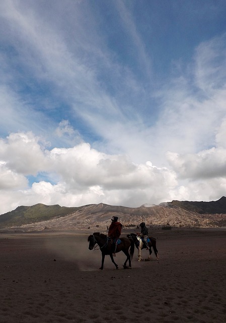 Bromo, Gunung (foto: pixabay.com)